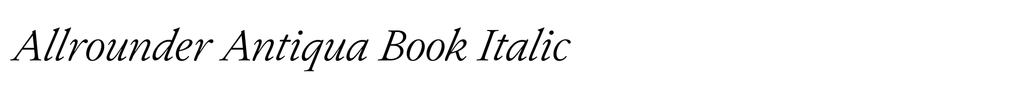Allrounder Antiqua Book Italic image